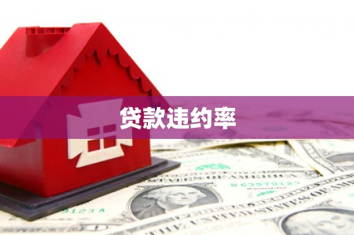 印江贷款违约率