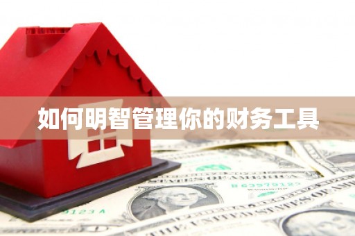 印江如何明智管理你的财务工具