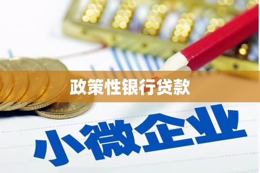 印江政策性银行贷款