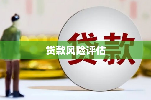 印江贷款风险评估