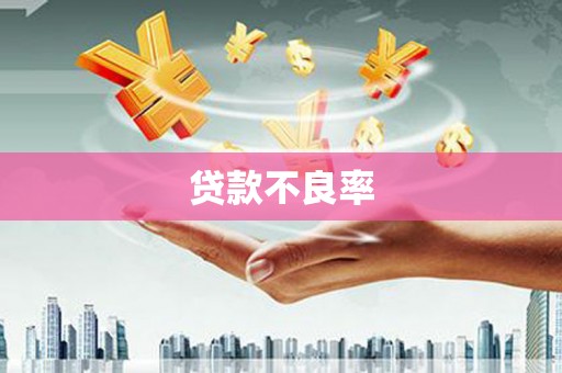 印江贷款不良率