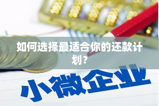 印江如何选择最适合你的还款计划？