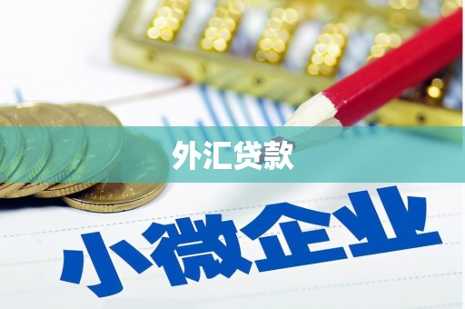 印江外汇贷款
