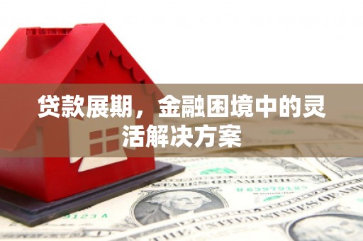 印江贷款展期，金融困境中的灵活解决方案