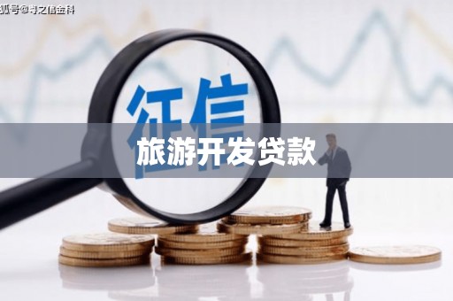 印江旅游开发贷款