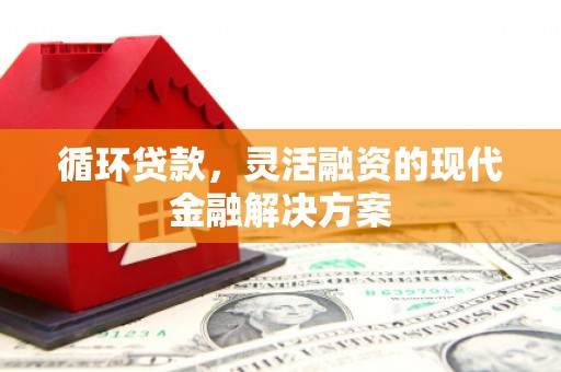 印江循环贷款，灵活融资的现代金融解决方案