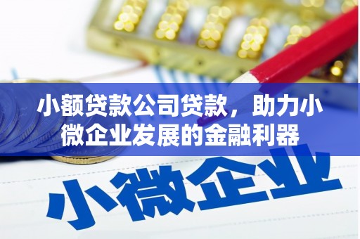 印江小额贷款公司贷款，助力小微企业发展的金融利器