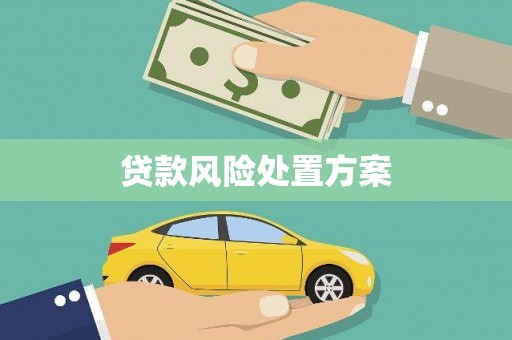 印江贷款风险处置方案