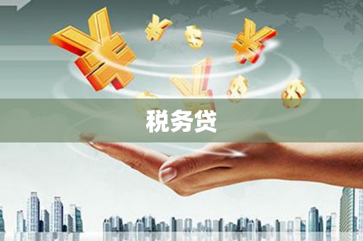 印江税务贷