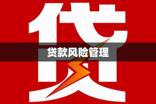 印江贷款风险管理