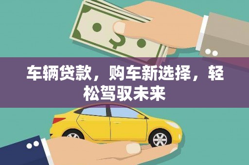 印江车辆贷款，购车新选择，轻松驾驭未来