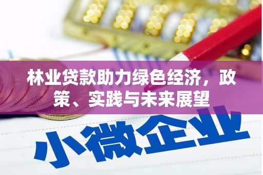 印江林业贷款助力绿色经济，政策、实践与未来展望