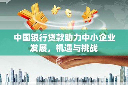印江中国银行贷款助力中小企业发展，机遇与挑战