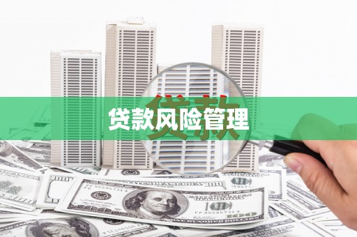 印江贷款风险管理