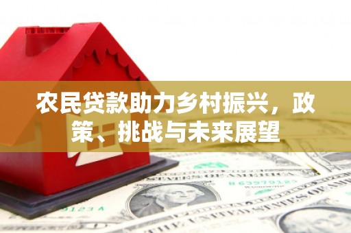 印江农民贷款助力乡村振兴，政策、挑战与未来展望