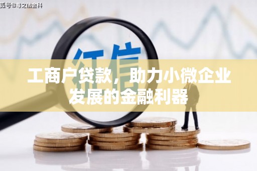 印江工商户贷款，助力小微企业发展的金融利器