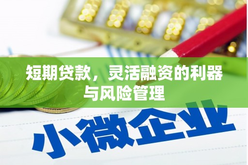 印江短期贷款，灵活融资的利器与风险管理