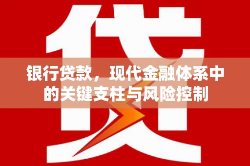 印江银行贷款，现代金融体系中的关键支柱与风险控制