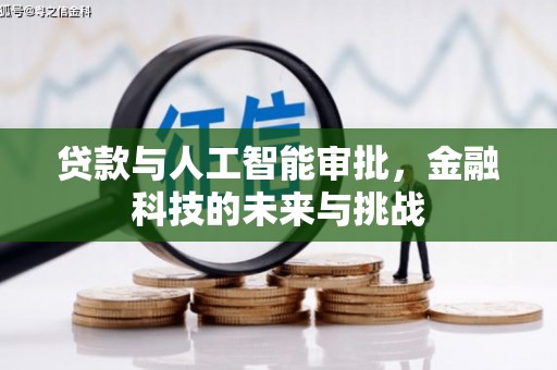 印江贷款与人工智能审批，金融科技的未来与挑战