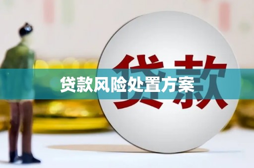 印江贷款风险处置方案