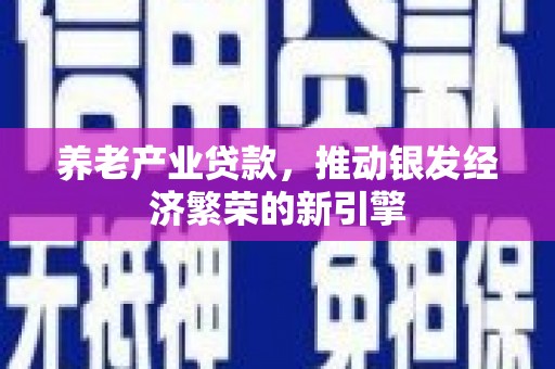 印江养老产业贷款，推动银发经济繁荣的新引擎