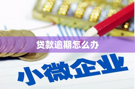印江贷款逾期怎么办