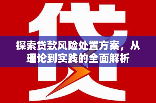 印江探索贷款风险处置方案，从理论到实践的全面解析