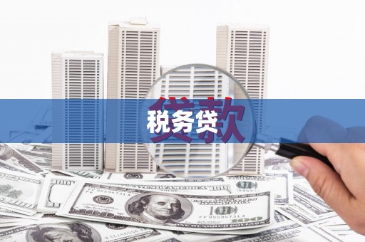 印江税务贷