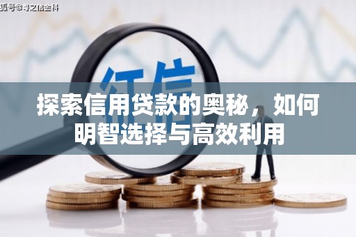 印江探索信用贷款的奥秘，如何明智选择与高效利用