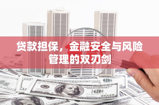 印江贷款担保，金融安全与风险管理的双刃剑