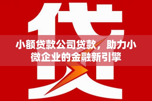 印江小额贷款公司贷款，助力小微企业的金融新引擎