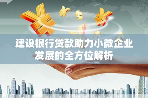印江建设银行贷款助力小微企业发展的全方位解析
