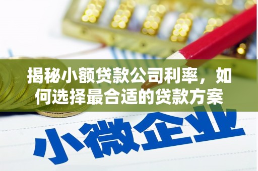 印江揭秘小额贷款公司利率，如何选择最合适的贷款方案
