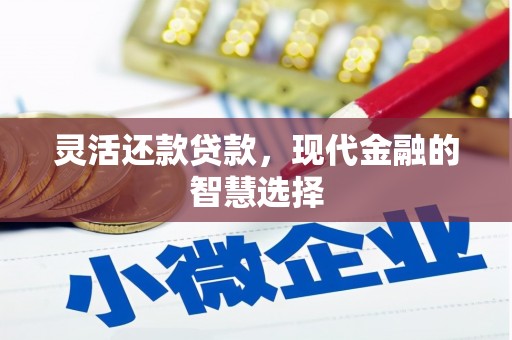 印江灵活还款贷款，现代金融的智慧选择