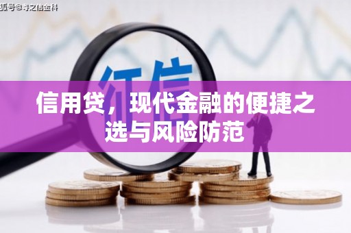 印江信用贷，现代金融的便捷之选与风险防范
