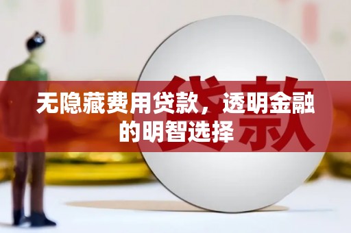 印江无隐藏费用贷款，透明金融的明智选择