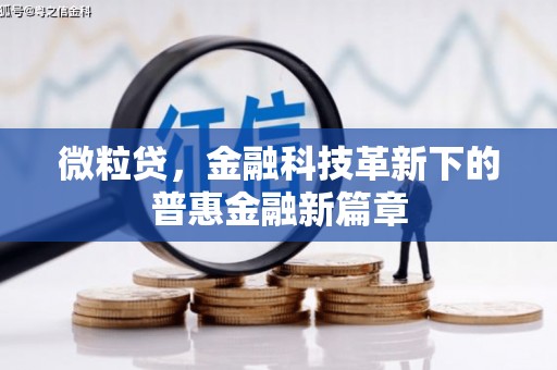 印江微粒贷，金融科技革新下的普惠金融新篇章