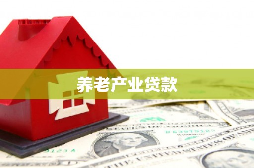 印江养老产业贷款