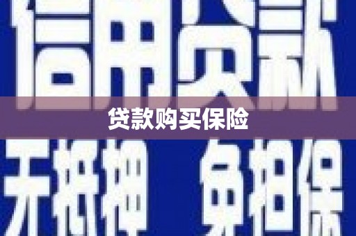 印江贷款购买保险