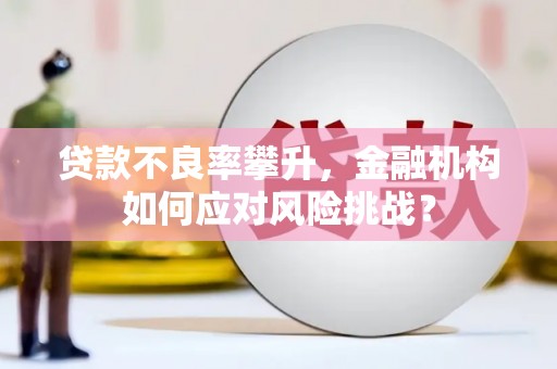 印江贷款不良率攀升，金融机构如何应对风险挑战？