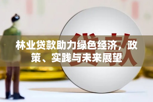 印江林业贷款助力绿色经济，政策、实践与未来展望