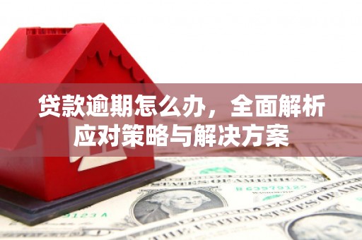 印江贷款逾期怎么办，全面解析应对策略与解决方案
